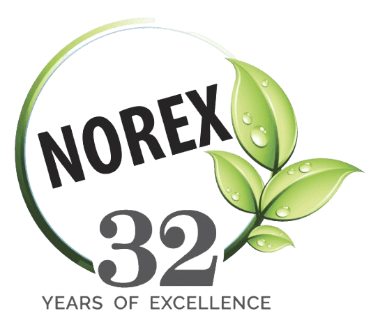 Norex Norex